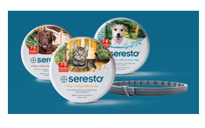 Bayer Seresto Flea And Tick Collar Small Dog Kill Fleas Within 24 Hours